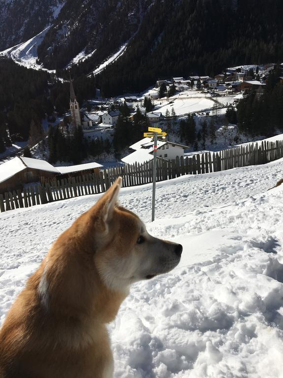 Pension Alpenrose Sankt Sigmund im Sellrain 외부 사진